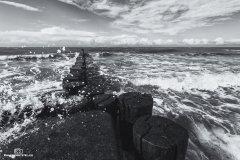 Strand Ahrenshoop