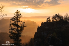 Sächsische_Schweiz029