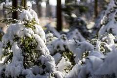 Schneebedeckt