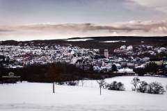 Plauen